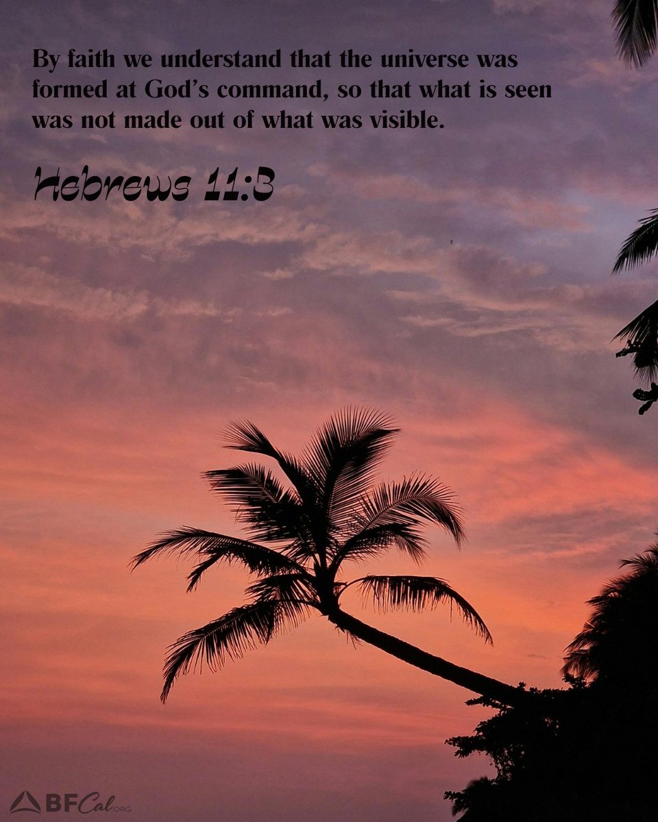 BF_California's tweet photo. 📖✨ “By faith we understand that the universe was created by the word of God...” — Hebrews 11:3

Trust in the God who created all things and is still at work today. 🙏💙

#SundayVerse #Hebrews113 #Faith #TrustGod https://t.co/FOKipLYxzo