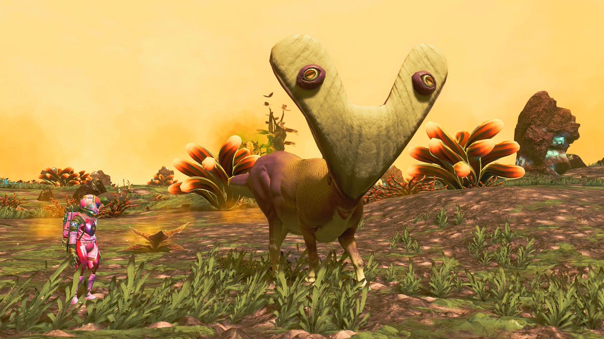 NatNMS's tweet photo. Omg, so cute!! 😍
#NoMansSky
#NoMansSkySwarm https://t.co/rqcBjtDlUu