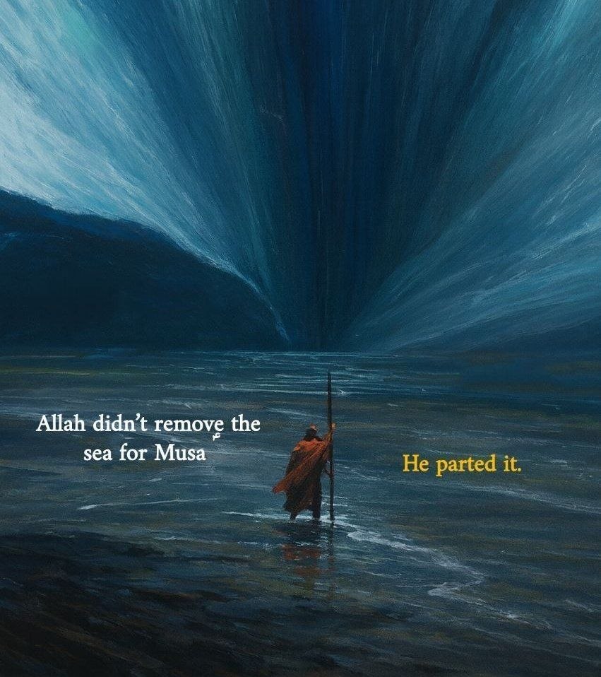 • tweet media
