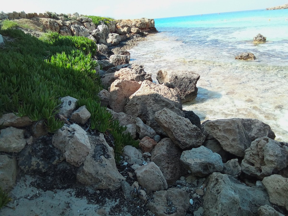 LENAGEORGIADES's tweet photo. Saltwater and silence; I came to soften, but stayed sharp. https://t.co/aF8BfeMAqX