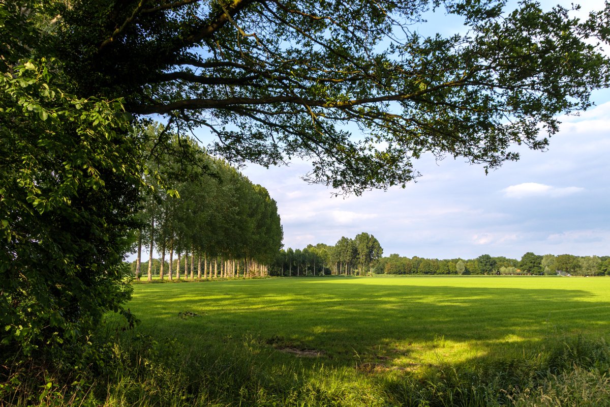AnnySpoolder's tweet photo. Een mooie afsluiting met een wandeling, van de dag in de #buurtschap #Wiene #HofvanTwente.
Fijne avond gewenst! 🏠🌳
#wandelnetwerktwente #elkestaptelt #landleven https://t.co/h9whHb3uFq