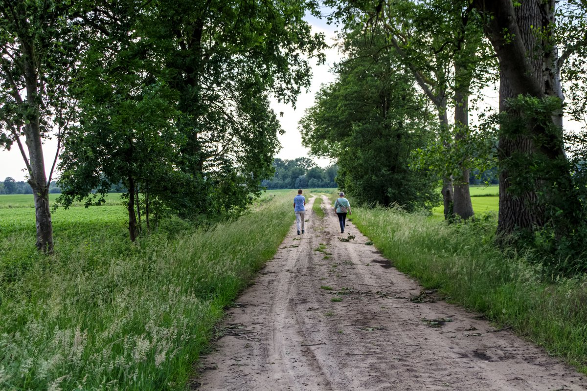 AnnySpoolder's tweet photo. Een mooie afsluiting met een wandeling, van de dag in de #buurtschap #Wiene #HofvanTwente.
Fijne avond gewenst! 🏠🌳
#wandelnetwerktwente #elkestaptelt #landleven https://t.co/h9whHb3uFq