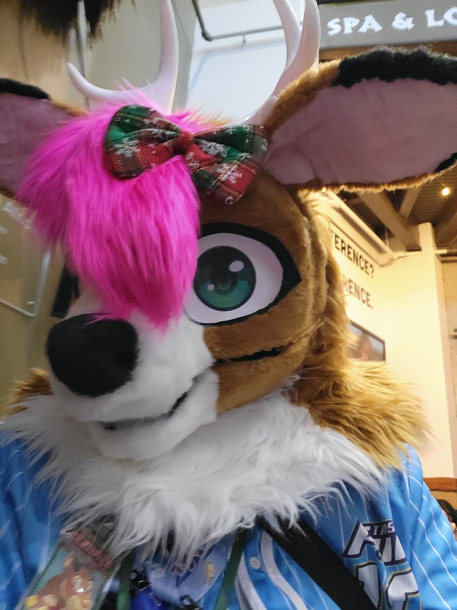 r17532's tweet photo. Hi friends  I  landed back home at the north pole last night  I had so much  fun at Colossalcon prime Golly  i can't wait  to  attend  next year I hope  everyone has a wonderful day today and a amazing week ahead 😊 
#colossalconprime2026 https://t.co/JB3CJPdoBy