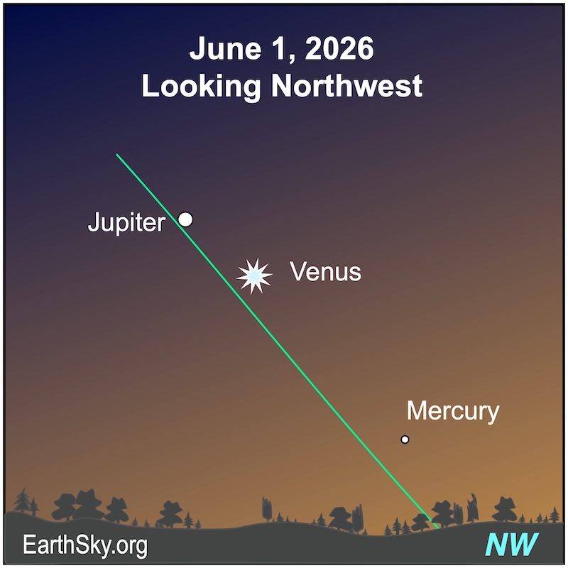 stardate's tweet photo. Pollux and Castor, the twins of Gemini, have a front-row seat for a planetary waltz this month. Venus, Jupiter, and Mercury are fairly close to the twins now, and will bunch up even closer during June. The group is in the west as evening twilight fades. https://t.co/UacUKaARf5
