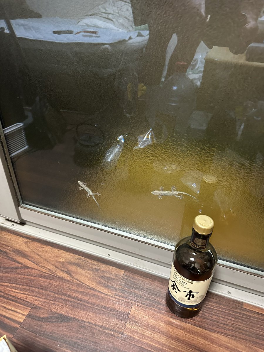 型卓部長 tweet media