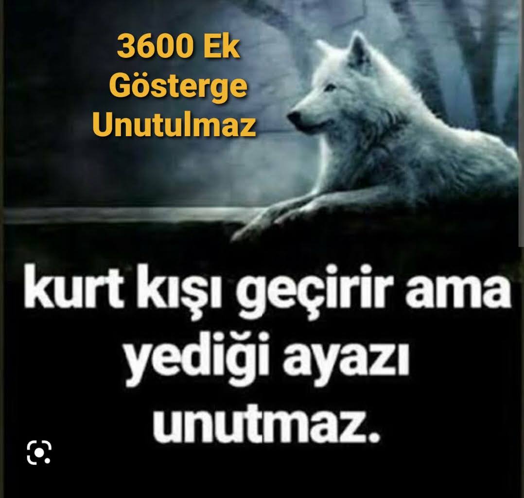 selahattinertan's tweet photo. İşte her #EmekliMemur un #SeyyanenZam ve #BirinciDereceye3600 ek gösterge den doğan alacağı. https://t.co/9XhudHmBG5