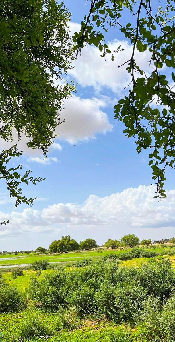 ShamAlShaer's tweet photo. أجمل الطلعات هي اللي ما فيها تكلف، بس وجوه ضاحكة، قلوب مرتاحة، وكاسات أتاي تدور بين الأحباب. https://t.co/58rXtMRjFv