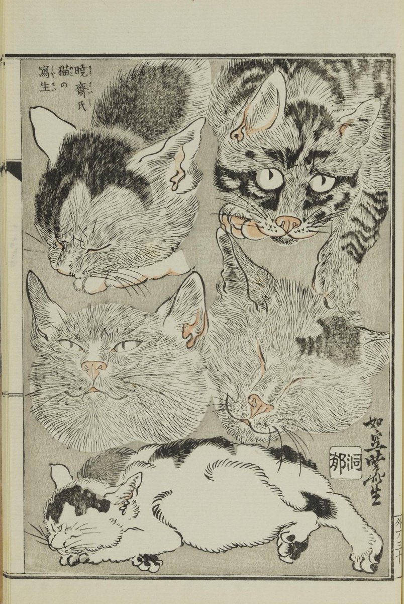 parianmarble's tweet photo. Kawanabe Kyōsai https://t.co/zfGkMTnC1p