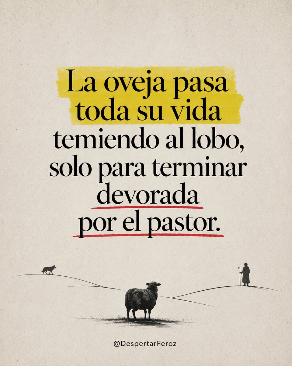 DespertarFeroz tweet media