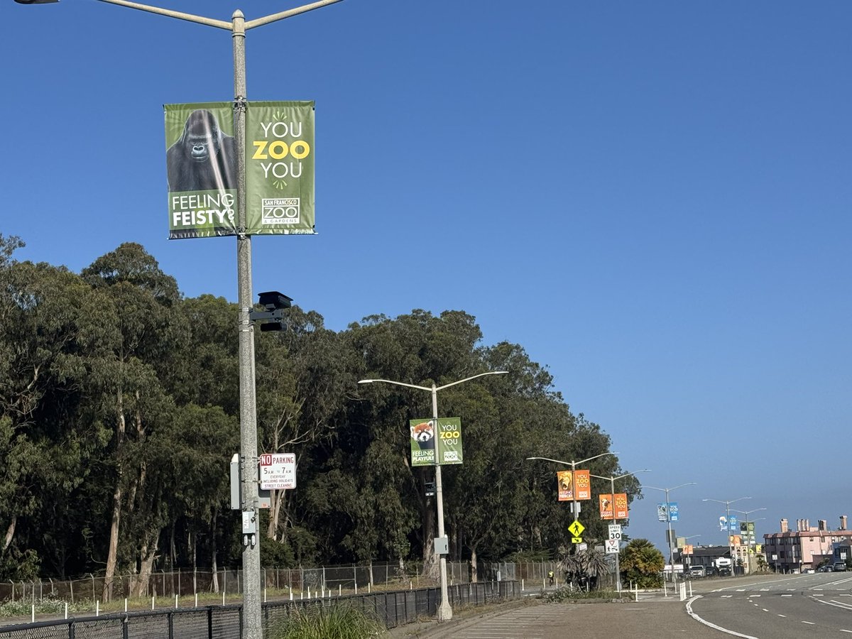 sfzoo's tweet photo. You may have seen our latest ad campaign on social. You Zoo You is all about connecting with our animals and the Zoo.
 
Now you can find our fun and expressive series of colorful pole banners along City streets and neighborhoods all summer long! Maybe your mood matches some of the many moods expressed in bold type alongside some of your favorite animals. We’re excited to increase visibility of the Zoo, let us know if you spot any of them!