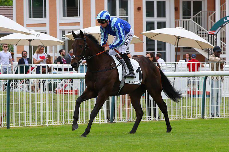 almracing's tweet photo. What a weekend 😍

So grateful to see Tokaido do what @lemos_lds and I always hoped he could. Great to get a big winner on Jockey Club weekend. Thank you to everyone who celebrated with us and to all my team for having him in the best shape possible.

Brilliantly ridden by @picconetony for our great friends Daniel and Anoj. Expertly found by @StroudColeman and bred by @mickleystud 

The dream is alive 🤞🏼🙌