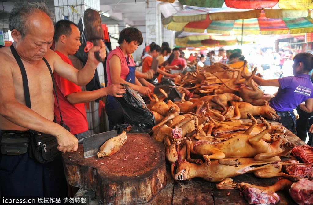 AbeNormal93's tweet photo. @PUNlSHEDJesus These Chinese children are living high off the dog! https://t.co/P6ibVn77Mp