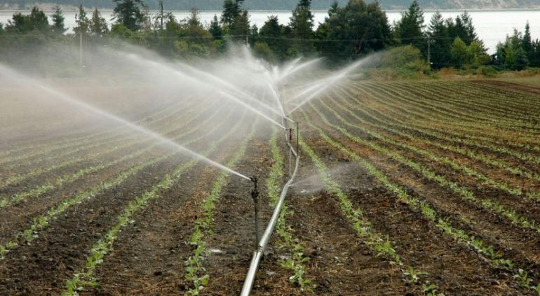 aguaorgmx's tweet photo. s 🌾 Productores advierten posibles afectaciones al campo derivadas de medidas relacionadas con el ahorro de agua.

🔗 Lee más aquí: https://t.co/K3Fgd428aj https://t.co/UY5MnNRsX8