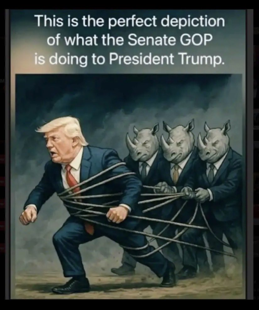 MagaDee1776's tweet photo. @LeaderJohnThune @POTUS @POTUS is doing all of the lifting while 90% of the @GOP and @LeaderJohnThune stall Trump’s agenda, block recess appointments, and collaborate with the democrats 
Pass the Save America Act and maybe you’ll keep your job 
America needs secure elections https://t.co/4BtEzJlNYq