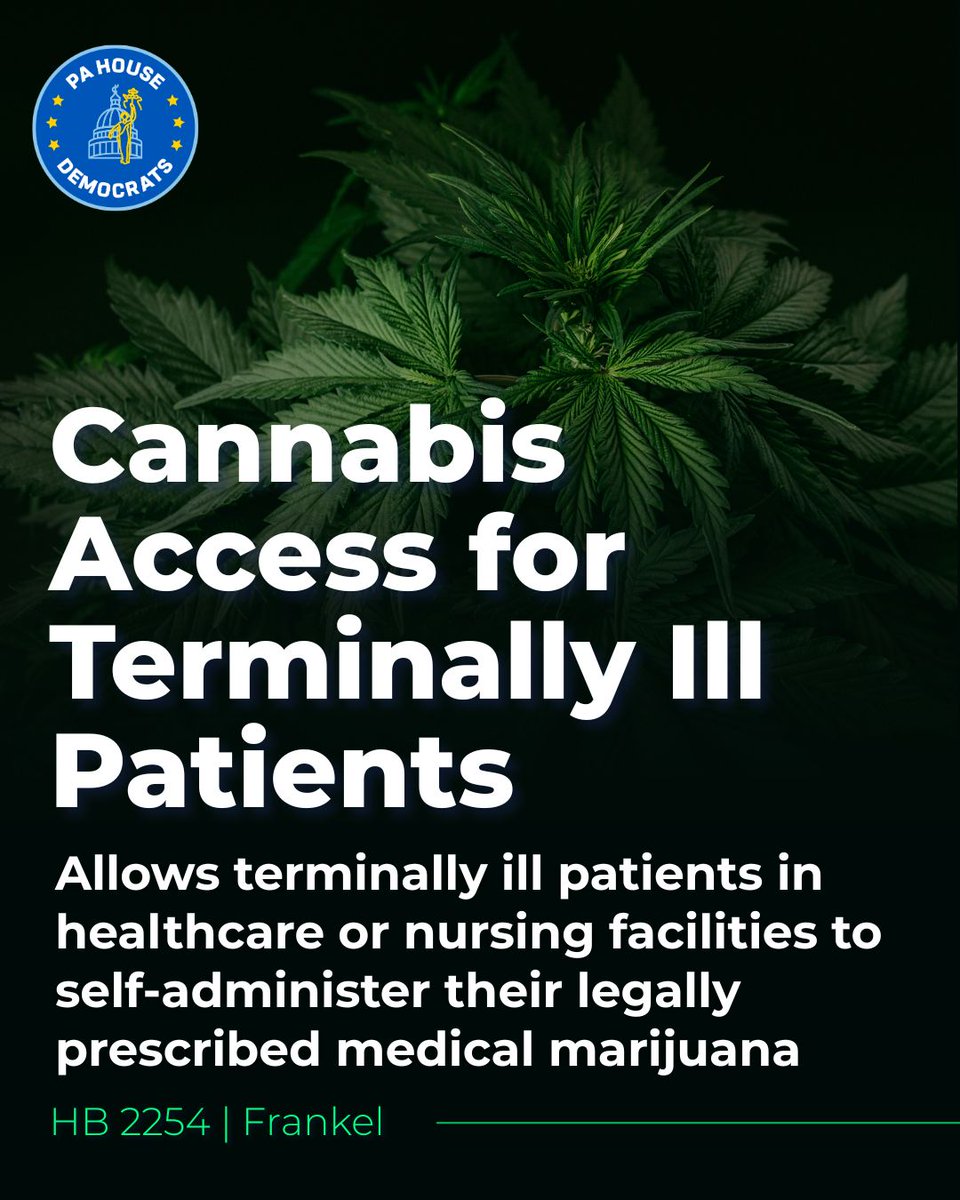 RepDanFrankel's tweet photo. PASSED 174-27: my bill to allow terminally ill patients to access medical cannabis while receiving care in hospitals. “Ryan’s Law” gives some very sick people the chance to spend their final days conscious, comfortable &amp; connected to the people they love.

https://t.co/EoFzvcJZmM https://t.co/glI5C8paKl