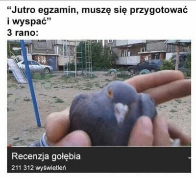 ringin_ja's tweet photo. Jutro powtórka z rozrywki https://t.co/tJSYaKxkq9