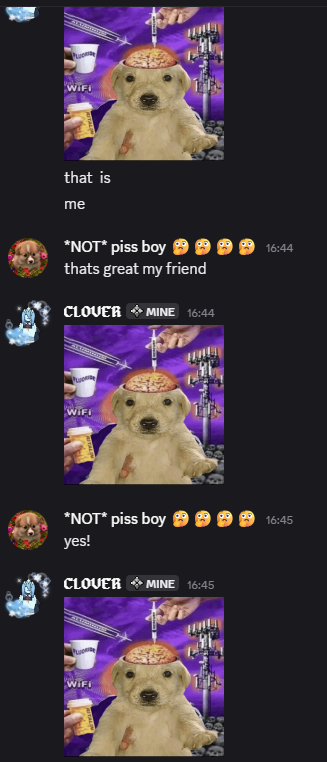 ⤷ clover tweet media