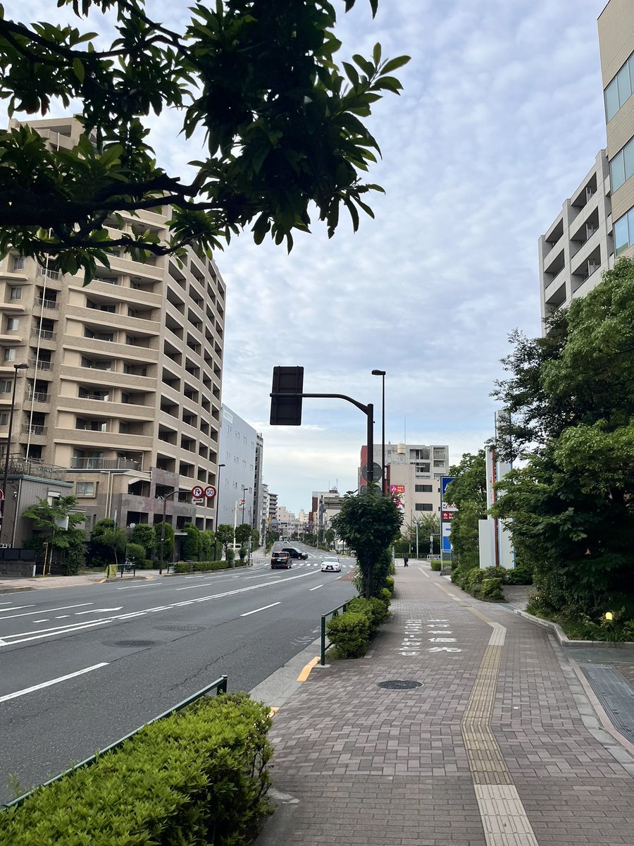 lilula9999's tweet photo. 早朝あさんぽ涼しい
台風が接近してますな〜🌪️

今週は鬼門の西武、楽天戦
昨年のライオンズ戦は仕事早上がりして1時間以上かけて所沢まで現地観戦しに行って、しっかり負けて帰ってきました🥶 https://t.co/c1TV6MiVW6