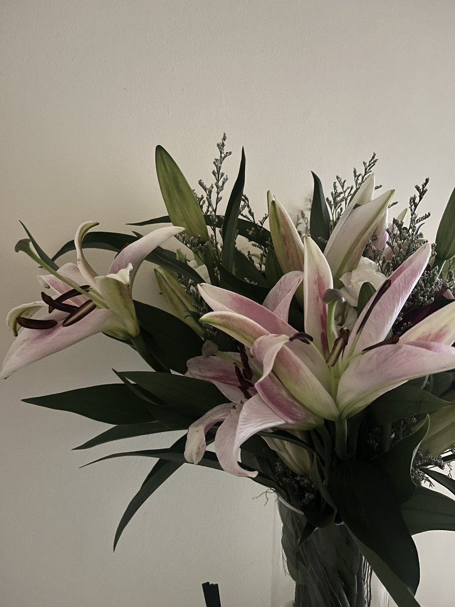 PepperCleaps's tweet photo. she bloomed aaaaah my heart https://t.co/OdhiFCYQdA