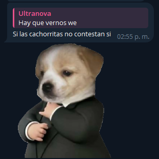mauryscr's tweet photo. Alguien de aquí, cuando le propuse alimentar nuestra amistad encontrándonos ahora que visite la ciudad

Las prioridades son claras https://t.co/9YVZSjvPk3