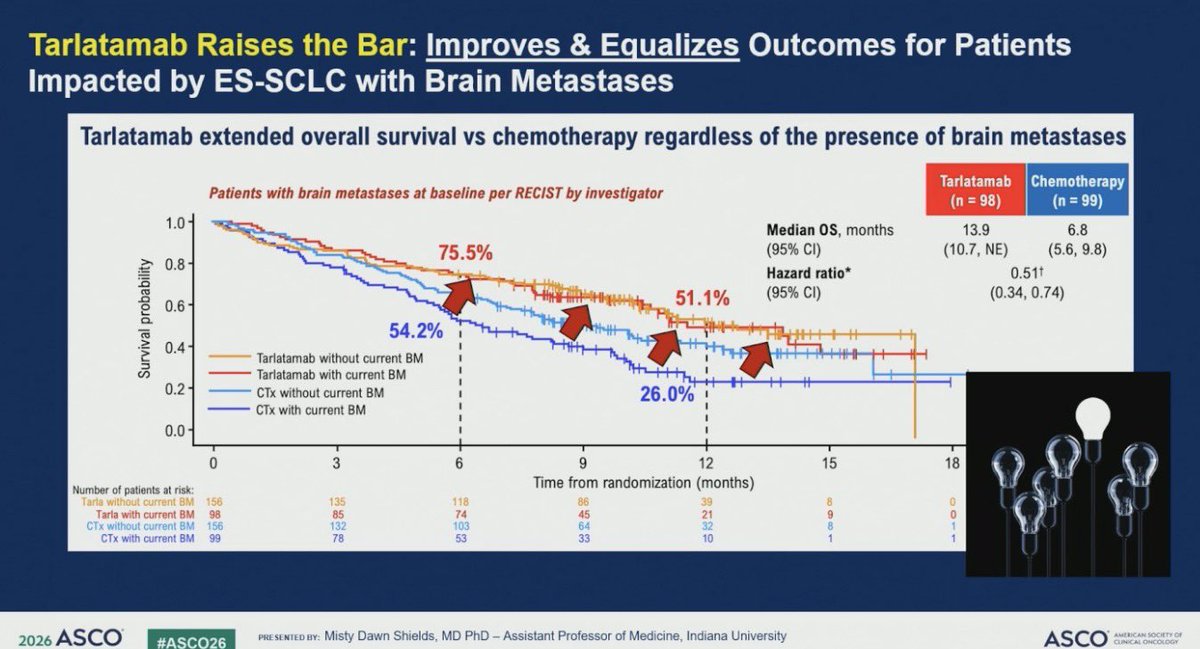 StephenVLiu's tweet photo. Dr. @drshieldsmd gives a great discussion on SCLC at #ASCO26. Tarlatamab update shows the drug raises the bar but points out importance of ICANS awareness. Is it higher in its with brain metastases? https://t.co/SbvcQybTlk