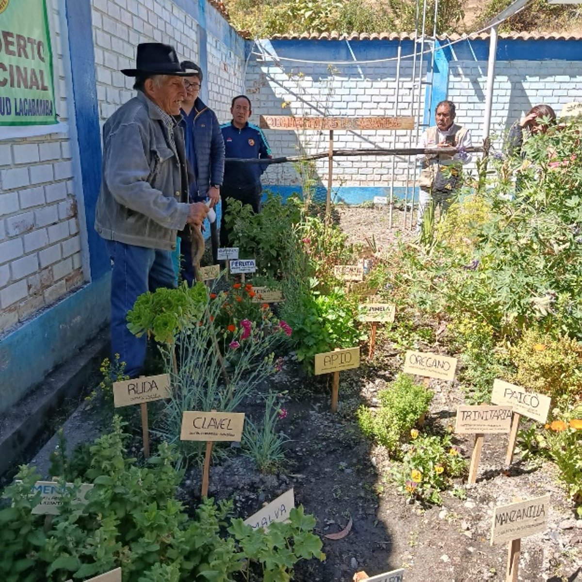INS_Peru's tweet photo. 🗒️ #NotaDePrensa | 🏔️ Experiencia en Áncash muestra que atención con enfoque intercultural fortalece el acceso confianza de la población en los servicios de salud

▶️ Revisa la nota completa: https://t.co/bwk8xhyFwm

#INS #SaludIntercultural #Áncash #Rijchariy https://t.co/armB61qdIe