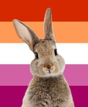 bunnybeloved_'s tweet photo. @lavenderghostco HOLLY MUNRO MONTH!!!
#SaveLockwoodandCo #LockNationPride https://t.co/zTGuHTNJQU