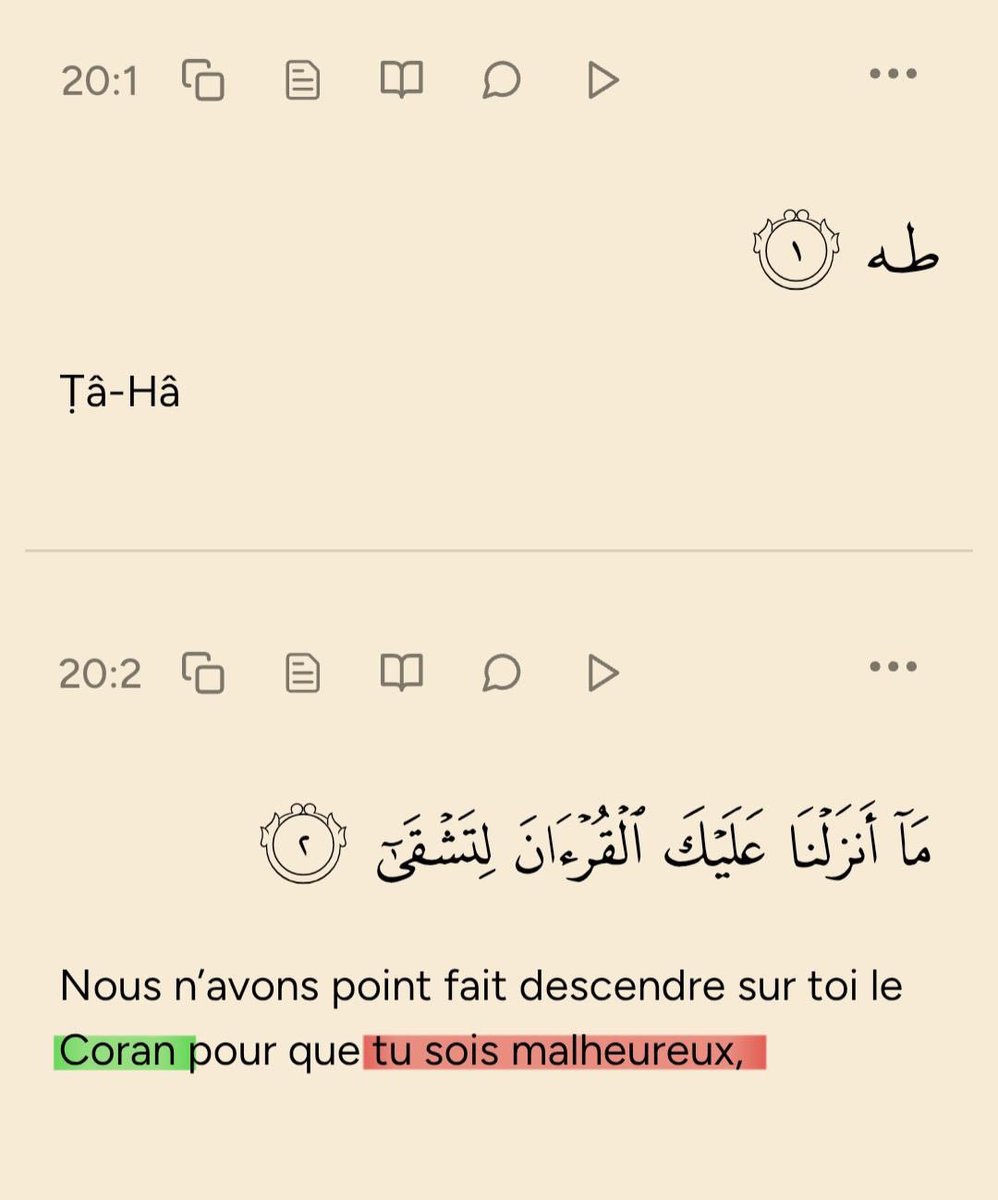moussa_tawhid tweet media