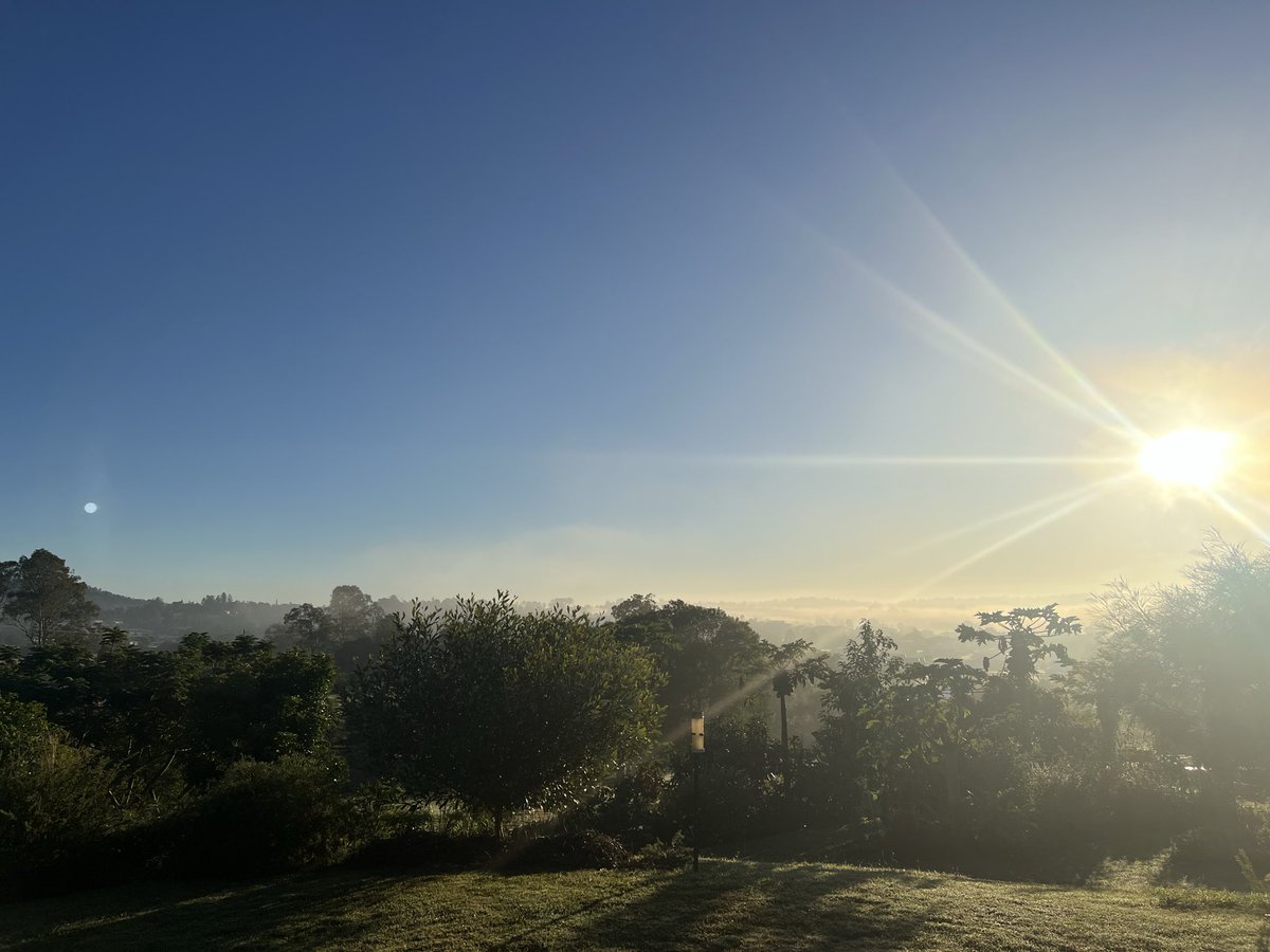 GabrielHauber's tweet photo. Good morning on this fine winter’s day! https://t.co/IgDXmRpEQZ