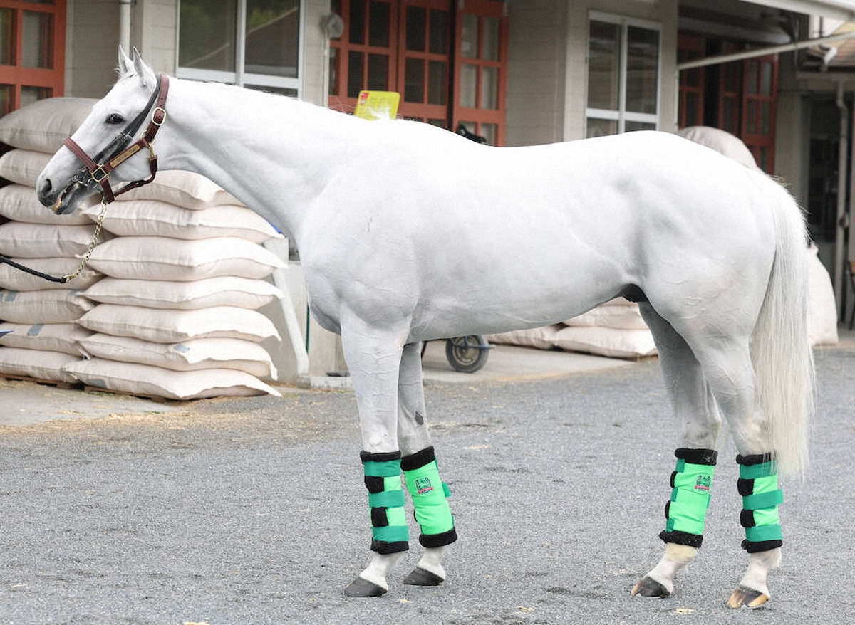 WIN!競馬_総合【公式】 tweet media