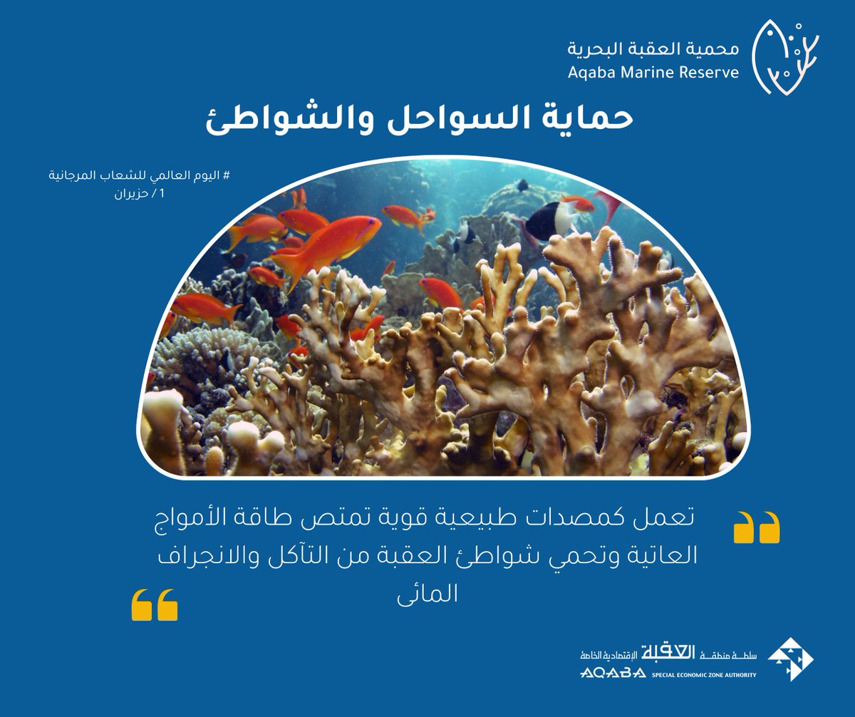 AqabaReserve's tweet photo. 🪸 في #اليوم_العالمي_للشعاب_المرجانية نحتفي بكنزٍ طبيعي فريد تحتضنه مياه خليج العقبة 🌊
تُمثل الشعاب المرجانية في محمية العقبة البحرية موطنًا غنيًا للتنوع الحيوي البحري وجزءًا أصيلًا من جمال العقبة الطبيعي.
#محمية_العقبة_البحرية
#العقبة
#خليج_العقبة https://t.co/A0ryVN7ohG