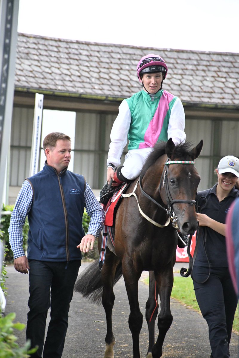 PCequinephoto's tweet photo. Cracking days racing @GowranPark1 . Well done to the @inpbaoc for sponsoring the gate. Big race went for export with the @rhannonracing trained Bunyola Bay leading from pillar to post . 50/1 winner with the locally trained Real Petite. A couple of great finishes also. https://t.co/RYexAtcwAa