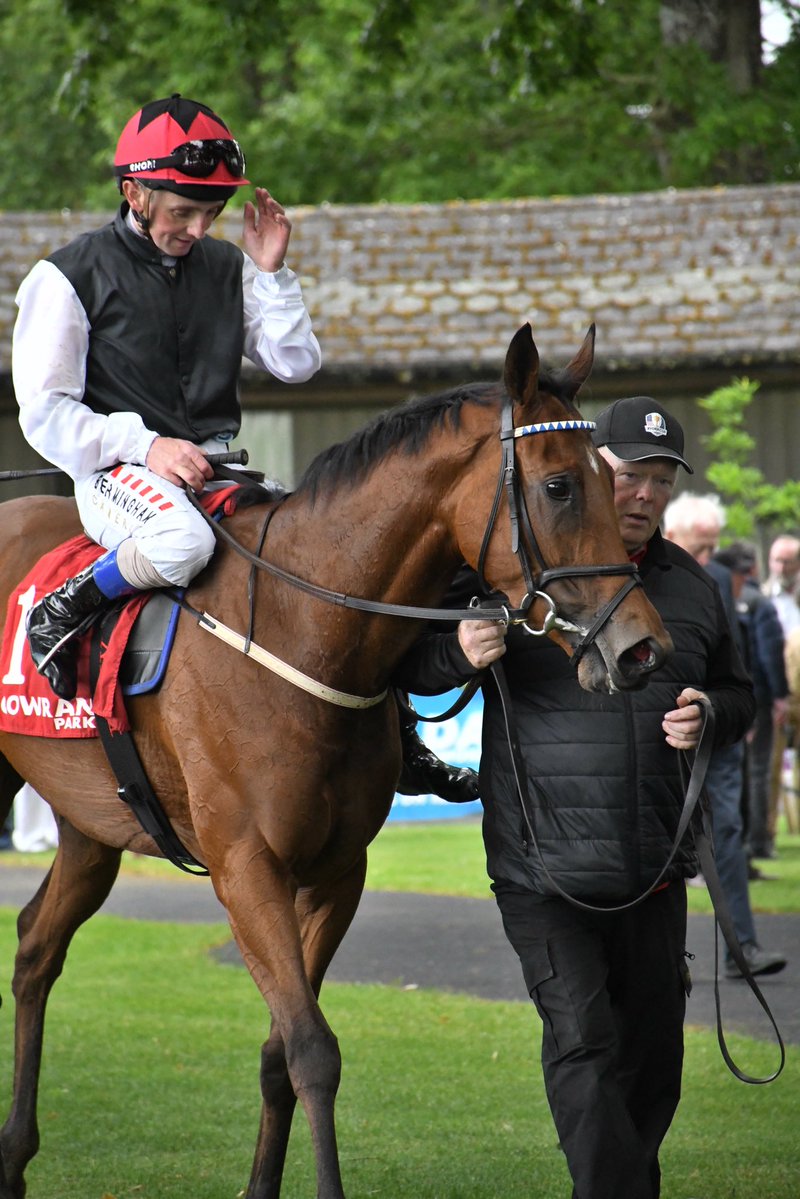 PCequinephoto's tweet photo. Cracking days racing @GowranPark1 . Well done to the @inpbaoc for sponsoring the gate. Big race went for export with the @rhannonracing trained Bunyola Bay leading from pillar to post . 50/1 winner with the locally trained Real Petite. A couple of great finishes also. https://t.co/RYexAtcwAa