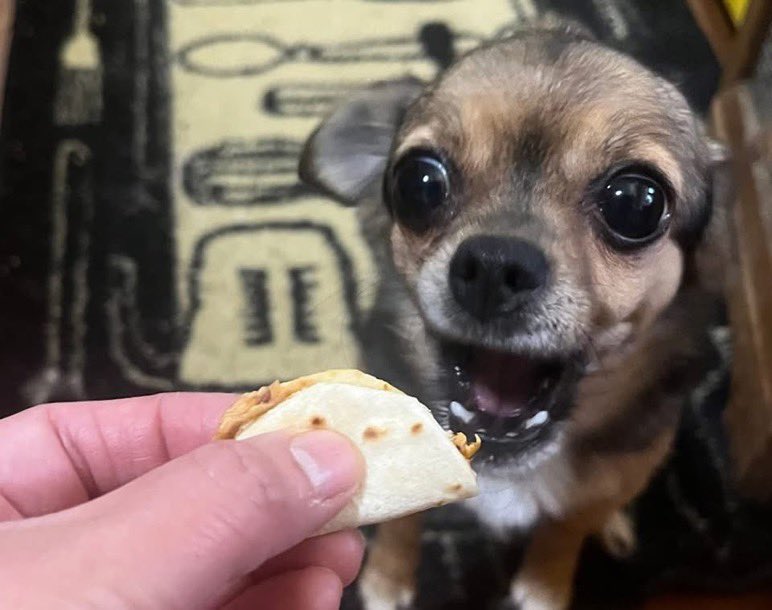 Guarromantico_'s tweet photo. Un taco pa mí, un taquito pa ti ✨ https://t.co/XxRgWbPIOX