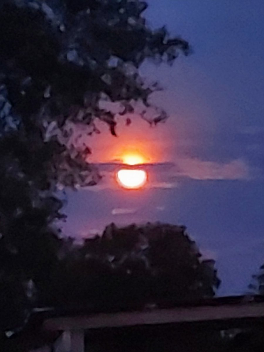 JakeMorgan59091's tweet photo. #Moon🌕
Pics of the #Moon🌕tht I took the other nite which is a great view too see n look at..2026

#CounTrySide🤠🇺🇸🦌
#Merica🇺🇸🇺🇸🇺🇸
#YeeYee🦌🇺🇸🦃🎣
#USA🇺🇸🇺🇸🦅🦅 https://t.co/QrbJGA46Av