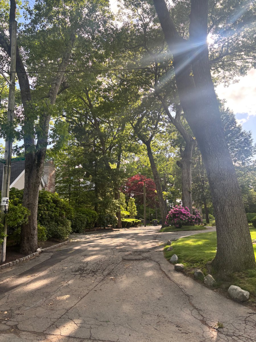 Provydense's tweet photo. Day 90 of walking every street in Providence. 

Seeing how other the other half lives in Blackstone. https://t.co/mkqjLPUSHb