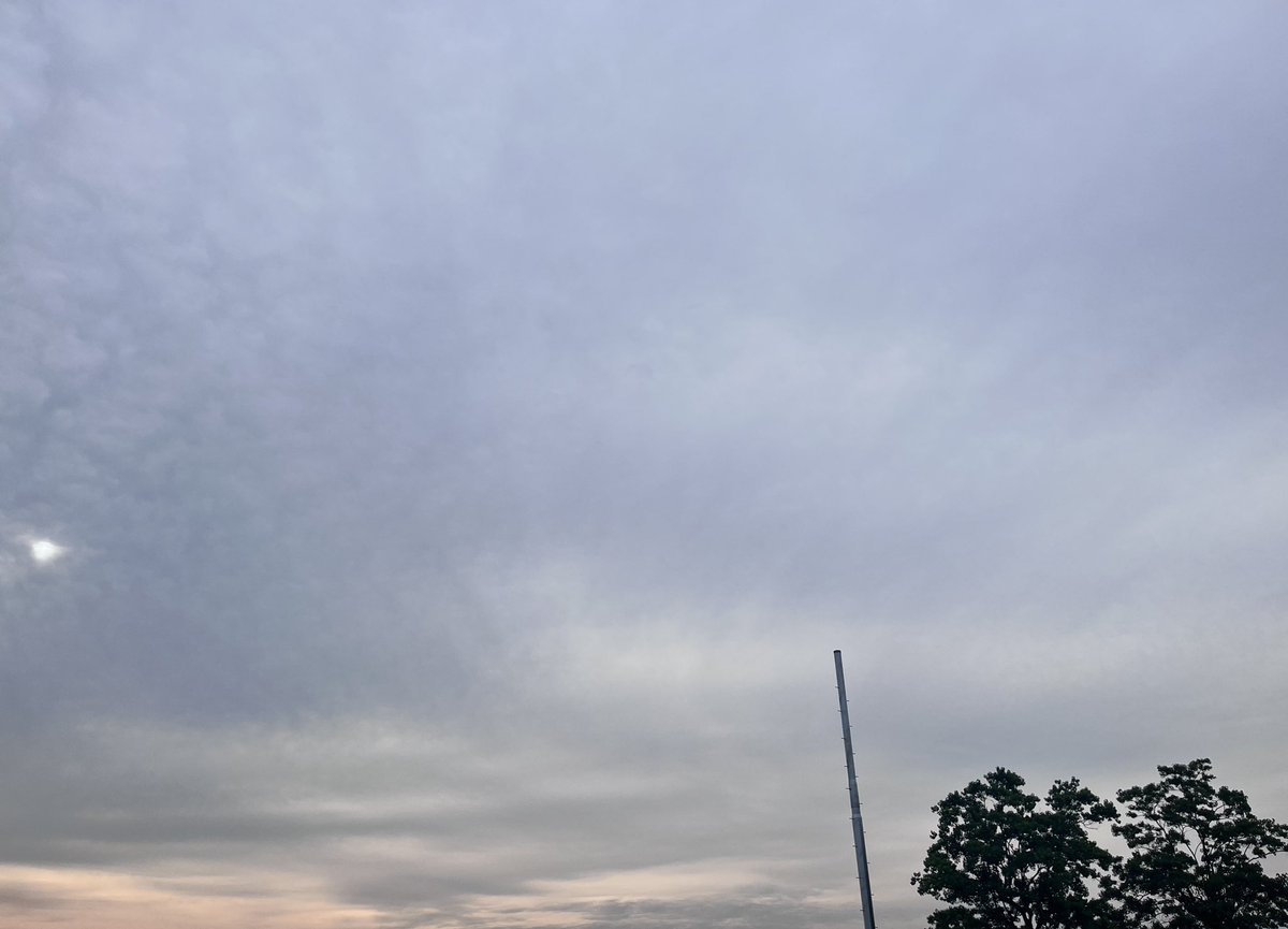 sattoc's tweet photo. おはようございます✨
雲がだんだんと覆い始めた朝。
今朝の空事情🎵

湿り気を感じる空気と植物たちの発する夏の匂いが混ざり合う。ラジオから台風のニュース。この後雨に変わりそう。雲に見え隠れする太陽の位置を確認しながら明日の天気をイメージする。早めの対応を！

今日もよろしくお願いします！