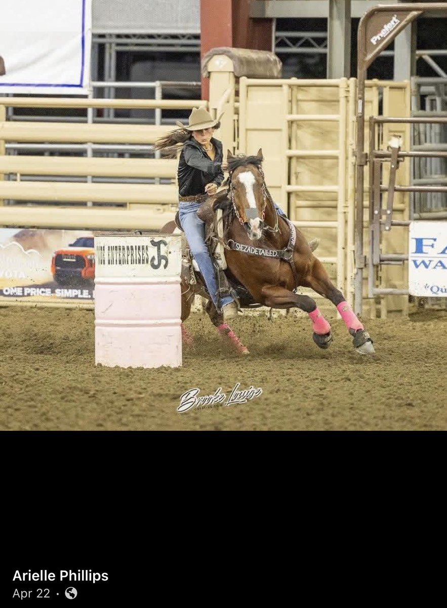 901Lulu's tweet photo. From Arielle Phillips-

My mare, Detail, was one of the 2 horses that were stabbed at the NBHA Supershow. A crazy obsessed stalker who has been following me on social media for a long time, obsessing over Detail, obsessing over meeting me. Sending me messages in which I would never respond to. This trip, she finally “met” me and my mare. Last night at 11pm I was sitting with Detail at her stall for an hour. This girl came by twice trying to make conversation and ask weird questions. She had no business hanging out in Barn A when she is in fact boarded in Barn B. She clearly kept coming back to check if I had left yet because this was pre meditated! 2 minute after I left her stall at 12:02am, this psychopath went in and brutally stabbed her 6 times at 12:04am, (cameras show her going in her stall) causing Detail to go frantic and get loose, taking off thru the barn aisles, blood pouring everywhere. This girl had the nerve to call my boyfriend’s daughter while I literally just got back into the room after leaving Detail, stating she found Detail with her stall door open (impossible! I latch and triple wrap the latch before I leave her stall) and stated that Detail looked like she was “quivering” so she looked into her stall to find her bleeding and said Detail cut herself in her stall. She said that she was trying to go in there to stop the blood. I had just left her 2 minutes ago! Impossible! We told her do NOT go in her stall, leave her alone and that we are coming right down! I rushed down to find her hosing off Detail’s wounds. I walked up to Detail, and this mare who loves and trusts me with her life, jumped away in fear as I reached my hand out. My blood boiled in that moment. This was a human attack. My mare would not jump and shy away from my hand like that unless someone reached out like that to hurt her!!! I immediately suspected this girl. I called Stephanie Langdon at 12:30am who immediately got up and rushed down with Wayne to attend to Detail and stitch her up immediately. This girl stuck around as I stood there holding Detail. Once the wounds were cleaned, the vet confirmed these were perfect stab wounds, there was no way it was anything else. As soon as I said “exactly!!! Someone did this to her!”, the girl quickly said she had to leave and that her grandmother was waiting for her and she left. 2 minutes later we notice her lingering the aisles from afar, keeping an eye on what we were doing. She never left. Only to find out hours later after sitting with the police and private investigators at 3am that ANOTHER horse was stabbed, Sauul Good. Another horse and jockey she had an obsession with. Cameras verified her entering both our stalls. I can’t even put into words the pain I feel for my mare and for Hailey’s Sully. Detail, the mare that would walk away from a fresh pile of hay just to come greet me and love on me, she now does not let me even put my hands near her. She is traumatized. Everytime she runs away from the approach of my hand, I burst into tears. This is my best friend. An innocent sweet horse, who only knows how to give me her ALL was brutally tortured for no reason. You don’t mess with my animals and you don’t mess with this mare. I will not stop until Detail and I receive justice. #lasvegas #nevada #emilygrace