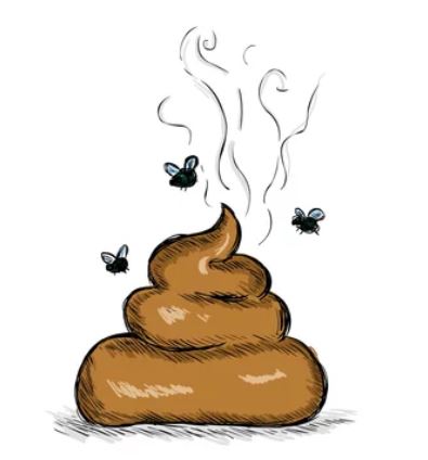 KCA1131's tweet photo. Because he is a bigg, steaming pile of 💩 https://t.co/jlOtydAail