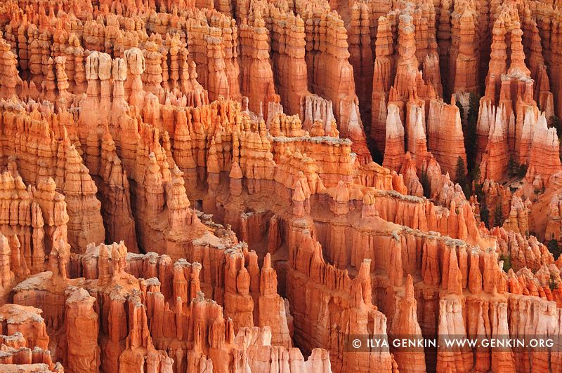 igenkin's tweet photo. Hoodoos, Inspiration Point — Bryce Canyon
Sunlit spires carved by time, standing in silent orange rows.
https://t.co/0aICqCOOPF https://t.co/80tGCNPQXZ