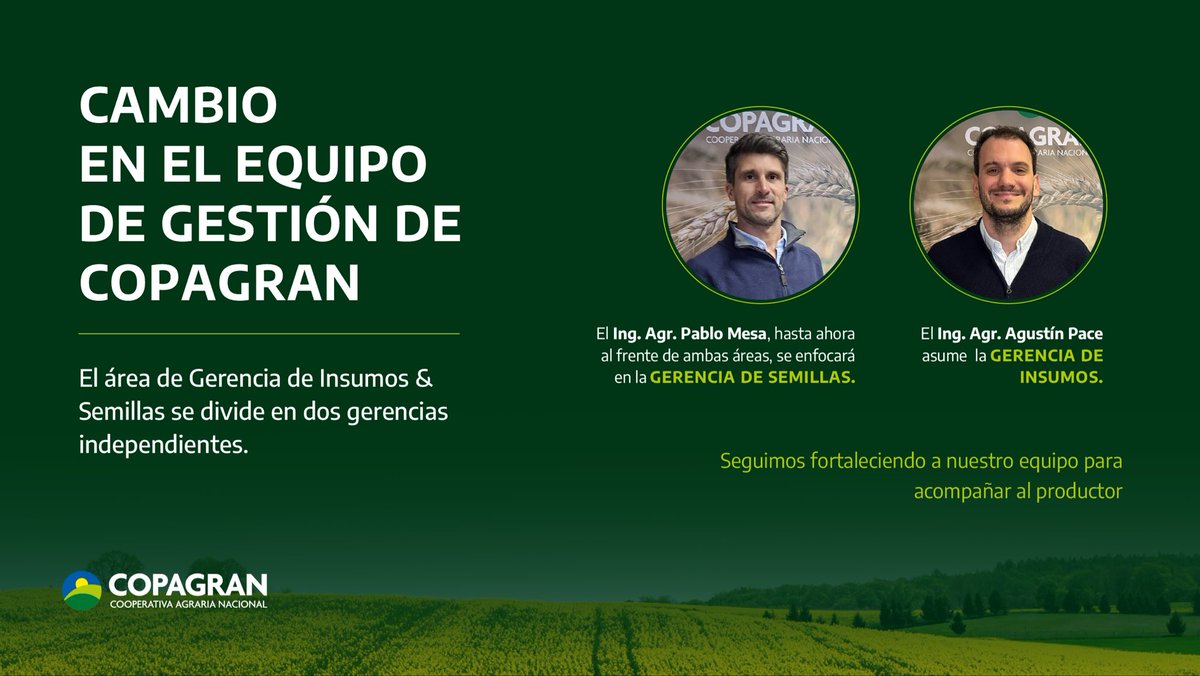 CopagranUy's tweet photo. 📢 Cambio en el equipo de gestión de COPAGRAN

La Gerencia de Insumos & Semillas se reorganiza y da lugar a dos áreas con liderazgo propio.

El Ing. Agr. Pablo Mesa, quien venía conduciendo el área en su totalidad, queda al frente de la Gerencia de Semillas. El Ing. Agr. Agustín Pace asume la Gerencia de Insumos.

Una estructura que se fortalece para seguir acompañando al productor. 💪