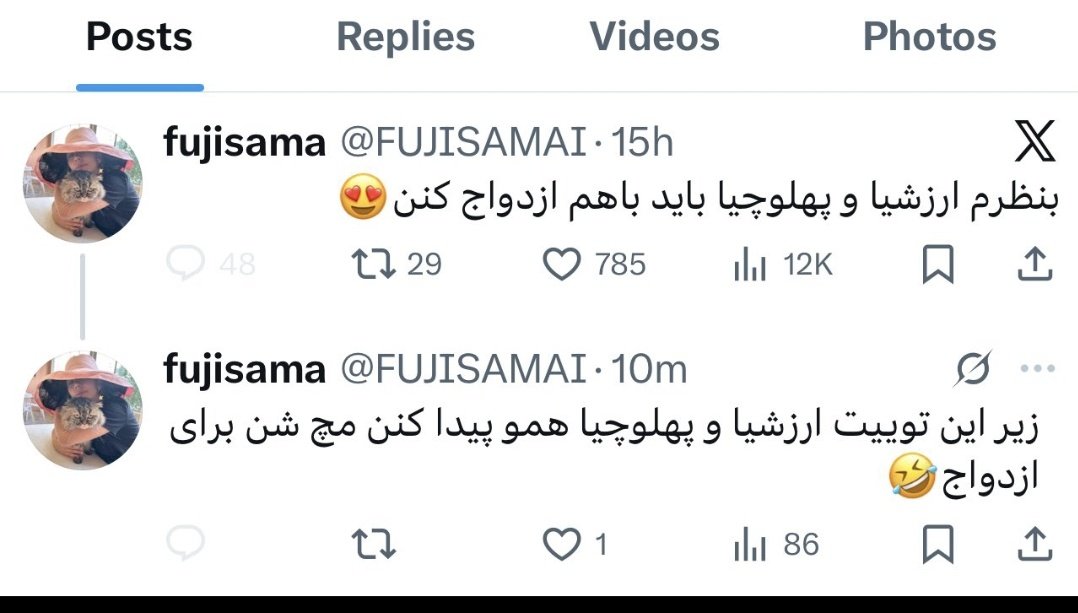 آشفته tweet media