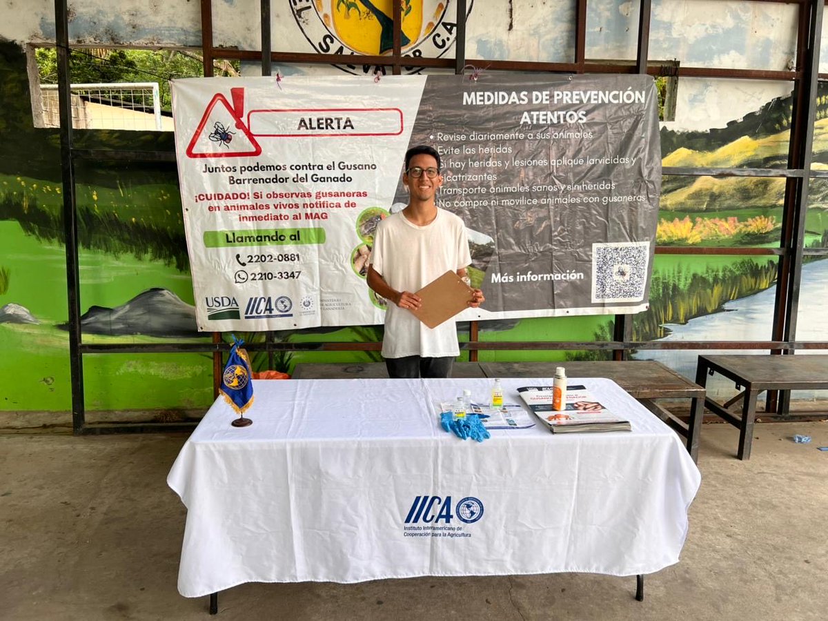 iica_sv's tweet photo. ¡Llegamos hasta el Tiangue de Nejapa! 🤠🐮 Aprovechamos el gran movimiento ganadero de los miércoles en San Salvador Oeste para sensibilizar a más de 40 productores sobre el Gusano Barrenador del Ganado (#GBG). 🪰❌
Hablamos de prevención y entregamos kits curativos. https://t.co/XyWLUcIBe1