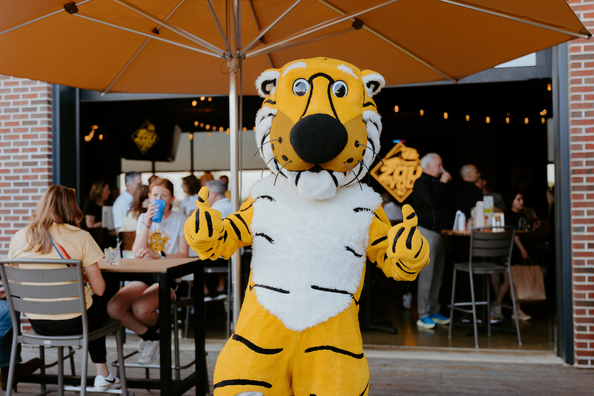 Mizzou Athletics tweet media