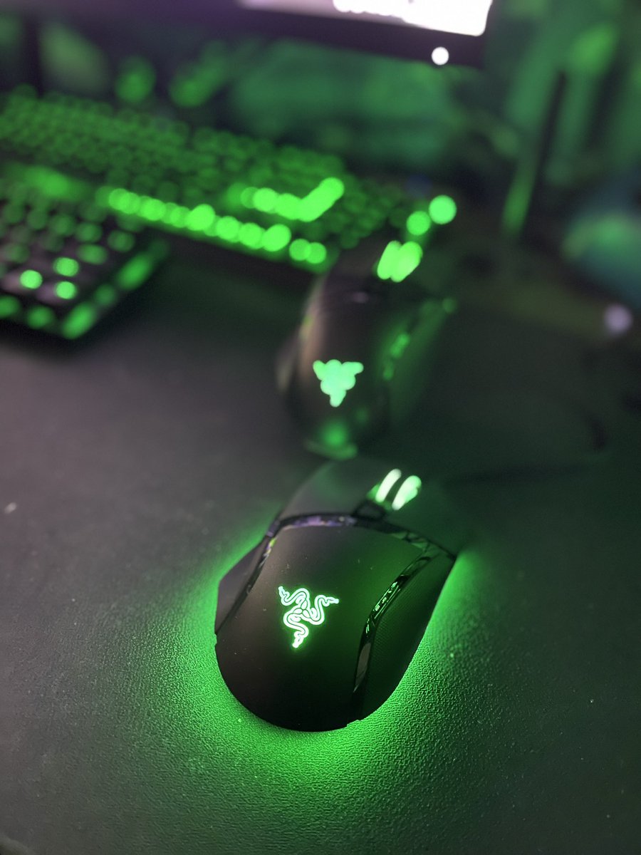 RAZER大好き草食獣 (@RAZER_SHIKA) / Posts / X