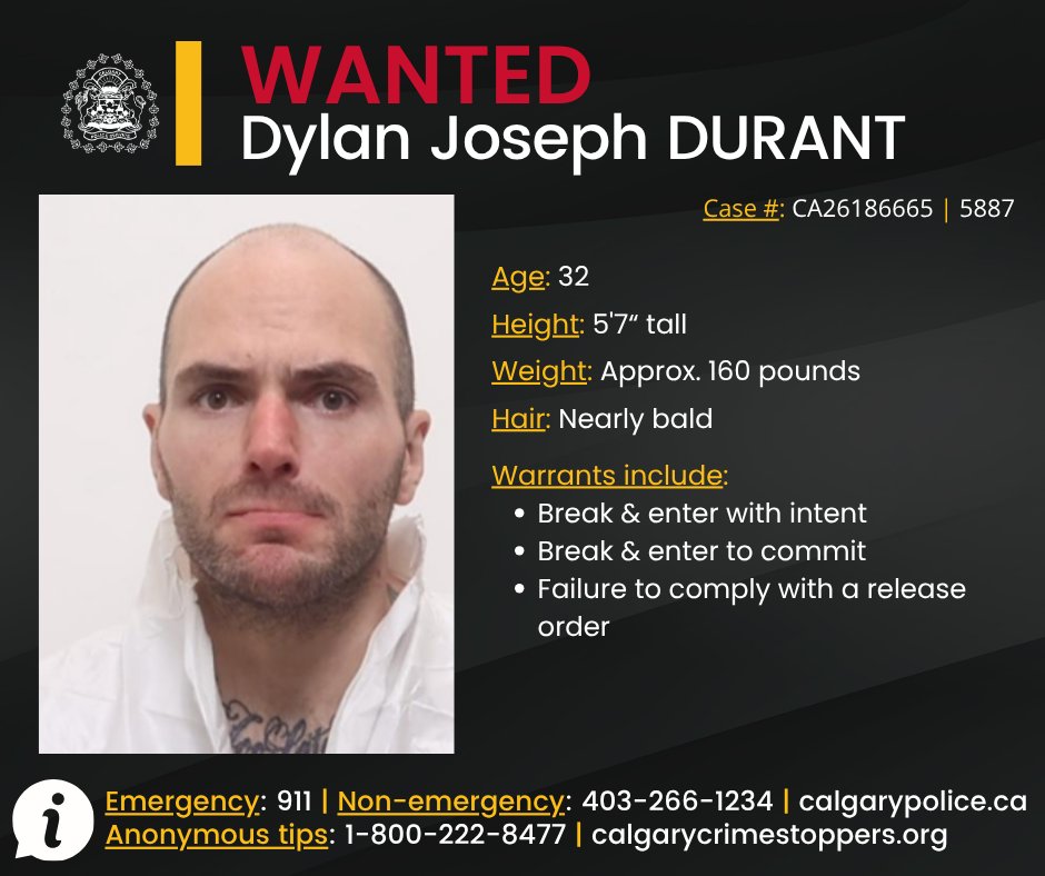 CalgaryPolice's tweet photo. 🔴 WANTED 🔴

We are asking for the public's help to locate Dylan Joseph DURANT who is wanted on several warrants, including break & enter with intent, break & enter to commit & failure to comply with a release order.

DURANT is described as 32, nearly bald, approx. 160 pounds & 5'7" tall. 

Information?
☎️ CPS: 403-266-1234
🛑 @StopCrimeYYC 
 
⚖ Case #: CA26186665 | 5887

🌐: https://t.co/pEUkA29qEi