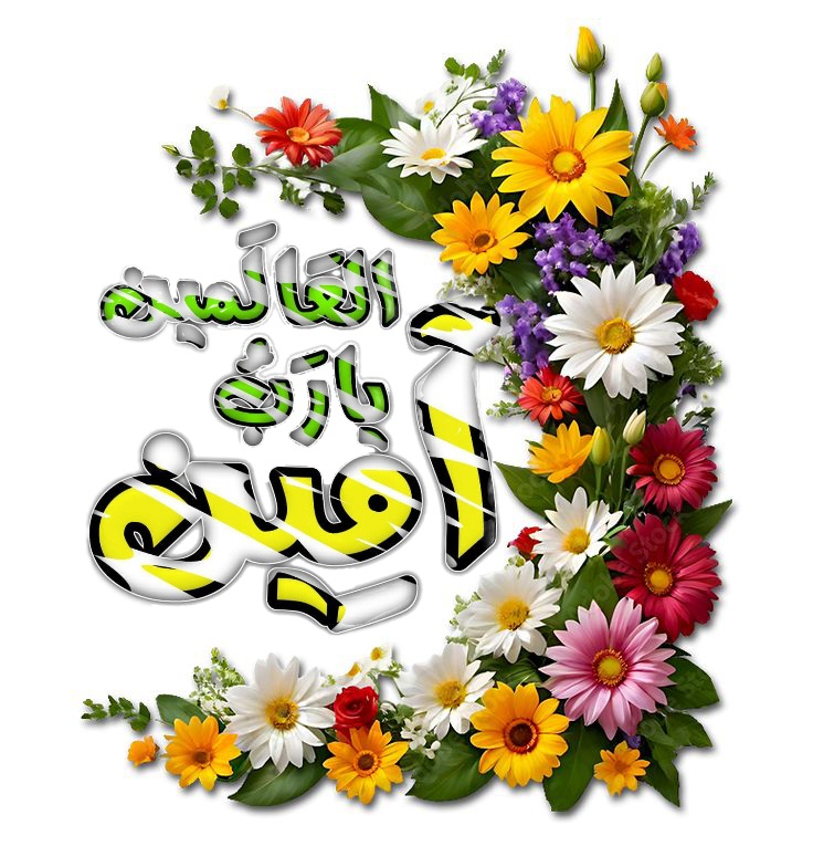 SAY tweet media