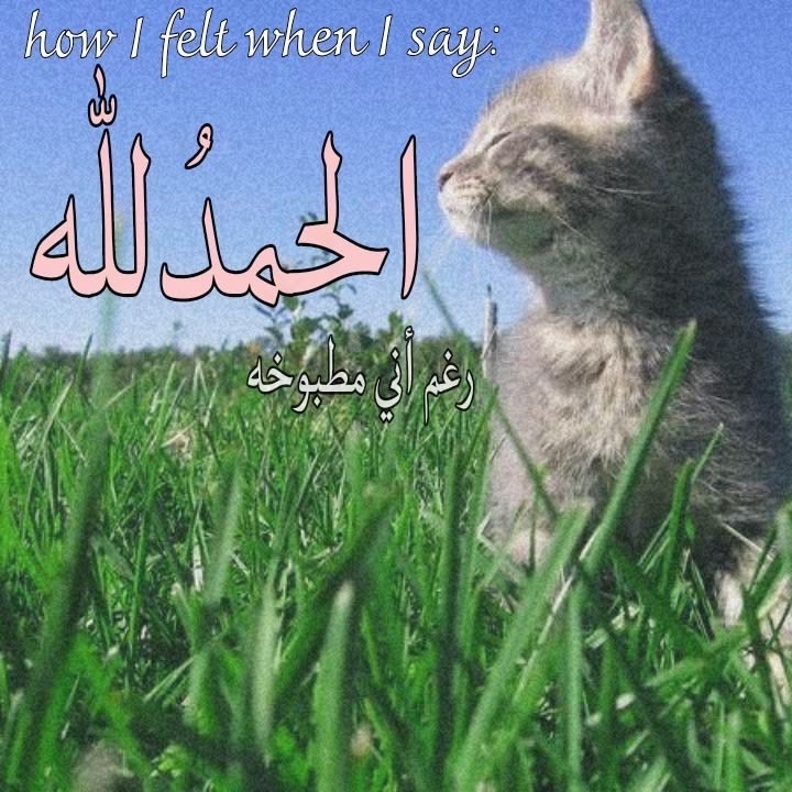 @Anxiety tweet media