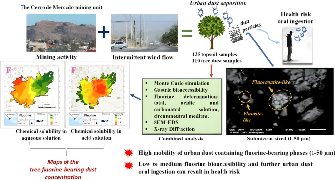 contaminacinde1's tweet photo. There is scant information about the role of urban fluorine-bearing dust  particles on the environment and public health. 
P Ponce-Peña, R Briones-Gallardo, G. Anguiano-Vega, Hugo Ramírez-Aldaba, Miriam Morones-Esquivel, E Zúñiga-Barrón,Miguel A. Escobedo-Bretado &amp; René H. Lara https://t.co/S2UBwMAa92
