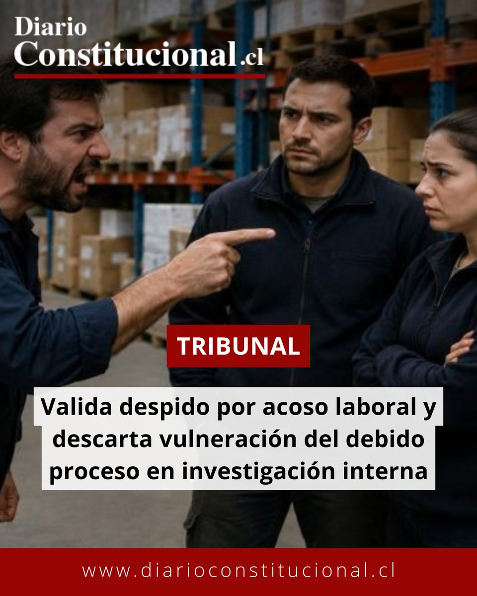 DiarioConstitucional tweet media